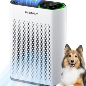 Air Purifier for Large Room