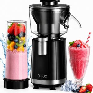 2-in-1 Snow Cone Machine