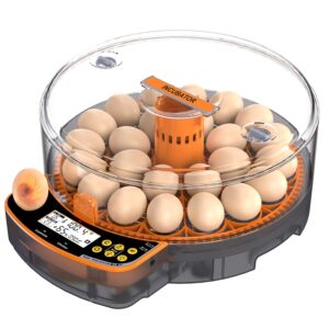 Egg Candler