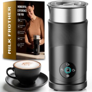Electric Milk Steamer 350ml